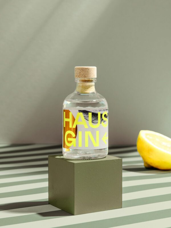 Gin für die Hausbar - perfekt zum Mixen von Drinks - Hausgin - Miniatur